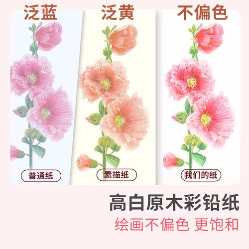 彩铅绘画专用手绘本 彩色铅笔画本画册纸  亮白纸张 美术绘画素描本  动漫漫画成人儿童涂色画画图画本 - 图3