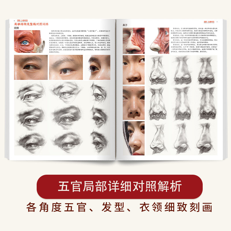 塑形头像结构 素描人物肖像头部五官结构大关系解析基础入门照片对画临摹范本步骤技法高校联考美术绘画册教程学材书籍国美院