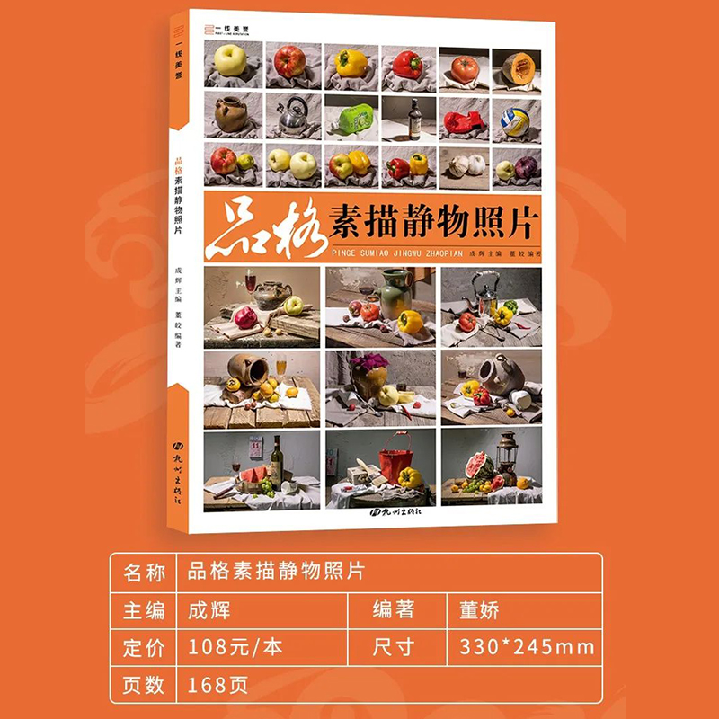 品格素描静物照片 2022一线教学董娇素描静物照片美术绘画技法入门教学美院教程教材书画册