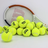 Wilson Wilsheng Tennis Multi -Speciate Professional School Training для теннисной массы без давления Wilson Tennis