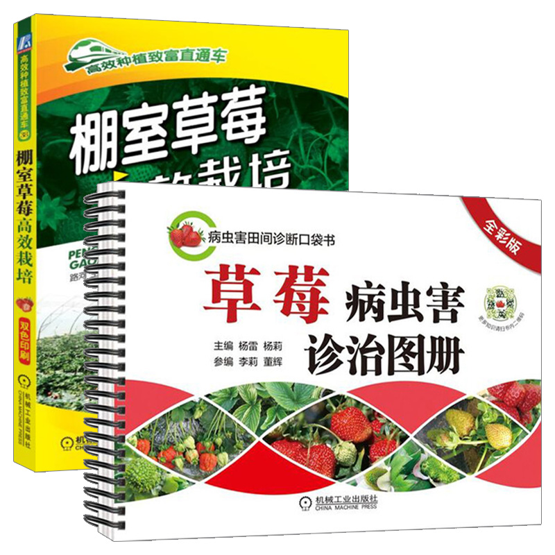 【草莓种植栽培技术大全书籍】棚室高效栽培病虫害诊治图册防治教程种育苗栽培和精细化管理的资料教程病农业图书温室书怎么架无土