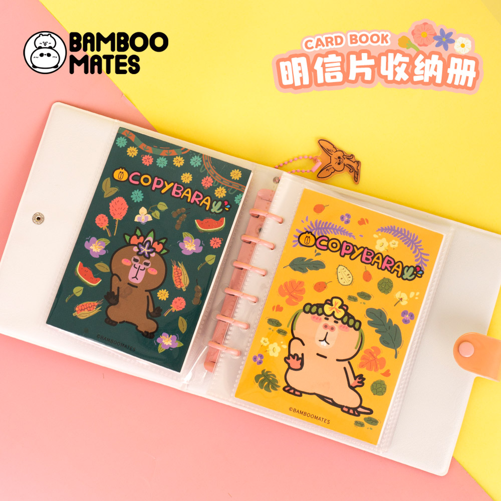 BAMBOOMATES透明插页式相册本照片影集明信片收纳册纪念册 - 图1