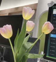 (Acceptance) and Coagulation Tests of 4 SKU Dingproducts Please do not shoot