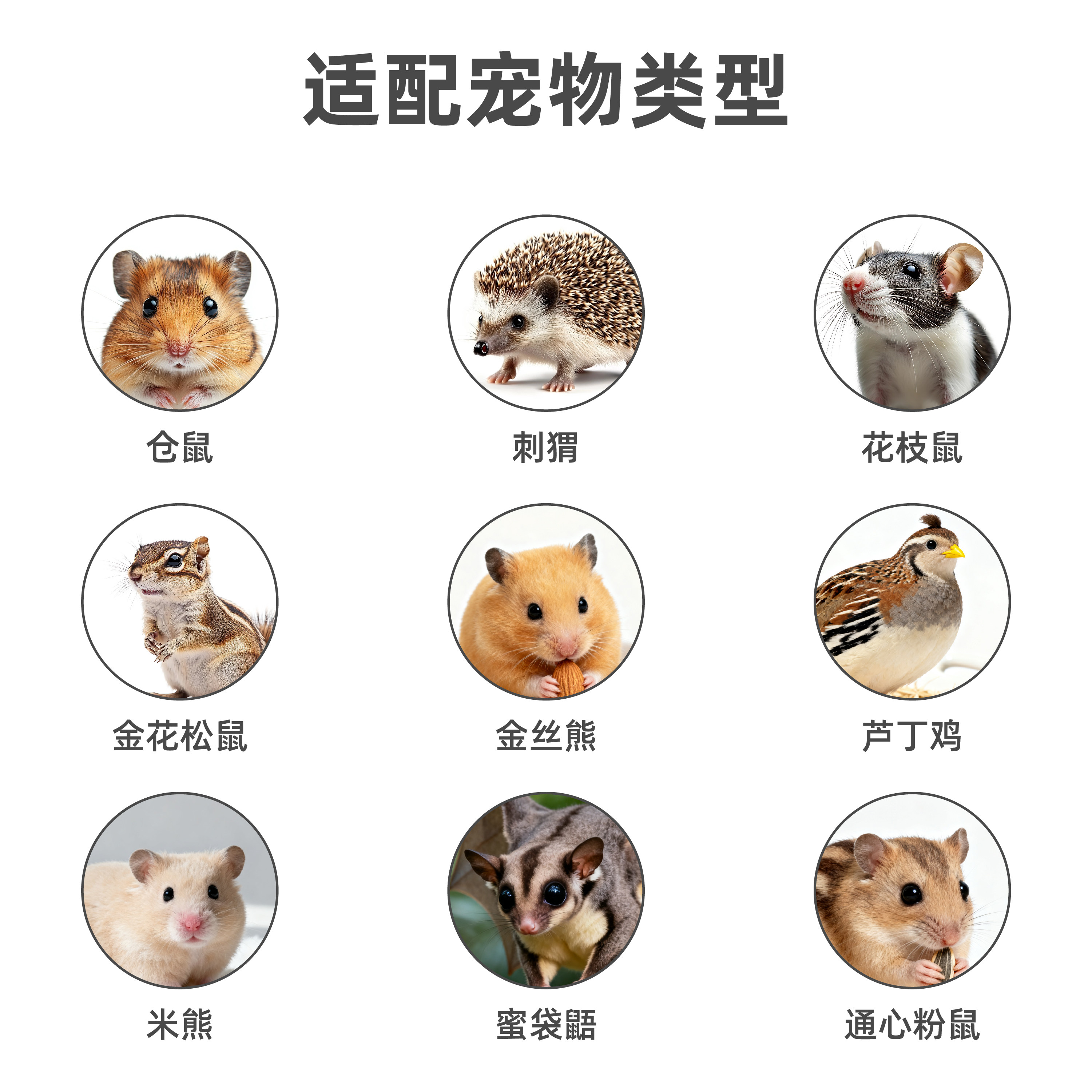 47厘米基础仓鼠笼加高底盘加厚加密升级版金丝熊笼子小宠别墅笼,淘宝优惠券,粉丝福利购,淘宝优惠卷