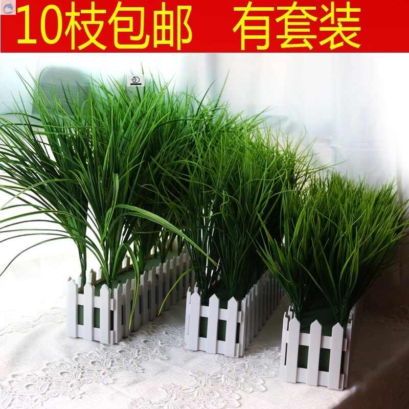 春草花 新人首单立减十元 21年8月 淘宝海外