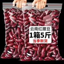 Red Ruby Beans 500g New Stock Red Kidney Beans Big Red Bean Five Cereals Coarse Cereals Coarse Grain Legumes Beans Dry Goods Northeast Wholesale