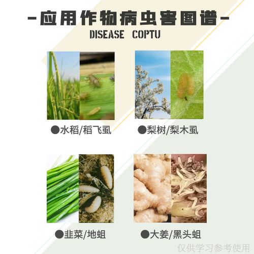 中国农资 判官令噻虫胺 20%飞虱蓟马梨木虱地蛆黑头蛆农药杀虫剂 - 图2