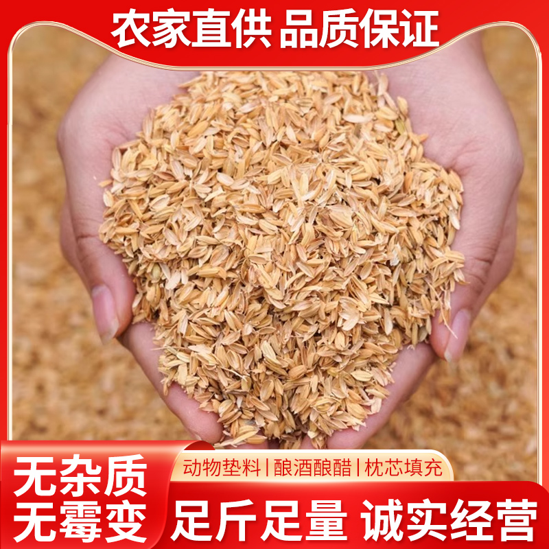 鲜稻壳稻谷壳酿酒粗糠米糠辅料枕头芯填充喂鸡垫料花卉芦丁鸡饲料 - 图2