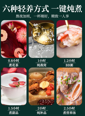 新疆电热煮粥迷你复古养生杯