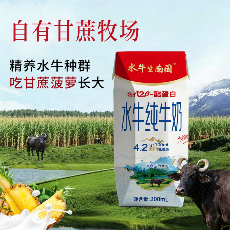 水牛生南国纯牛奶200mL*10盒4件4.2g蛋白学生水牛奶