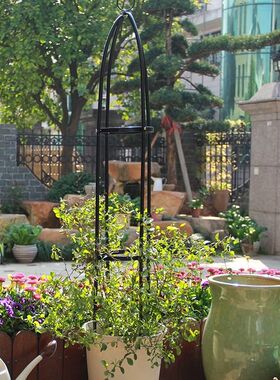 园艺藤本植物攀爬花架 阳台盆栽支架铁艺 室内藤月季铁线莲爬藤架