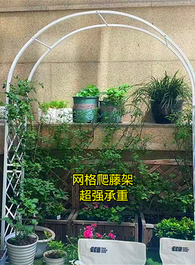 月季爬藤架植物攀爬架葡萄架子户外庭院装饰花支架铁线莲拱门花架