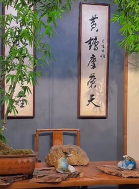 文人小叶簕竹办公室茶台客厅庭院种植室内外绿植盆景支持一物一拍