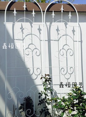 包邮铁制欧式铁艺 花架屏风 爬藤架 铁线莲 花幕花插片支架户外花