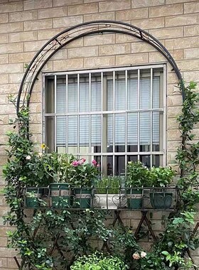 蓝雪花铁线莲月季窗户半拱形拱门花架爬藤架攀爬植物支架铁艺庭院