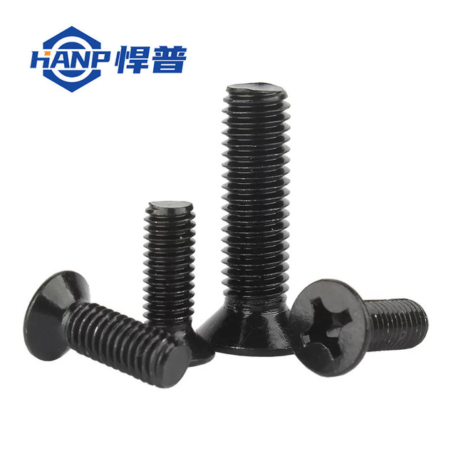 Black 304 stainless steel Phillips countersunk head screws