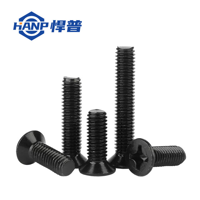 Black 304 stainless steel Phillips countersunk head screws