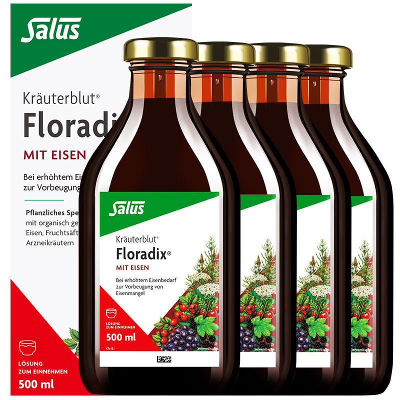 Floradix 德国铁元补铁口服液铁剂女性孕妇孕期养血铁元素500ml*4