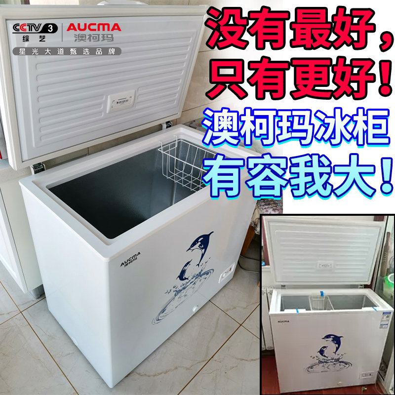 澳柯玛202ne升容量家用商用小冰柜 名丰电器冷柜