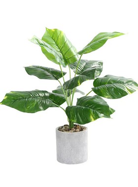 北欧仿真植物摆件绿箩万年青绿植龟背叶芋头盆栽假花装饰