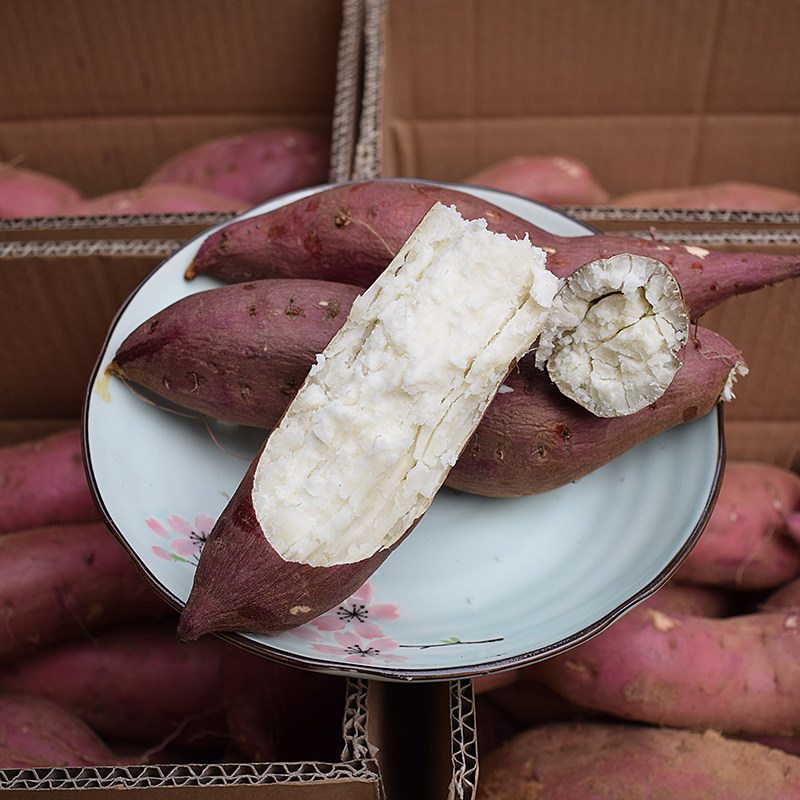 白心新鲜农家自种老品种5斤白薯 豫唐百味番薯