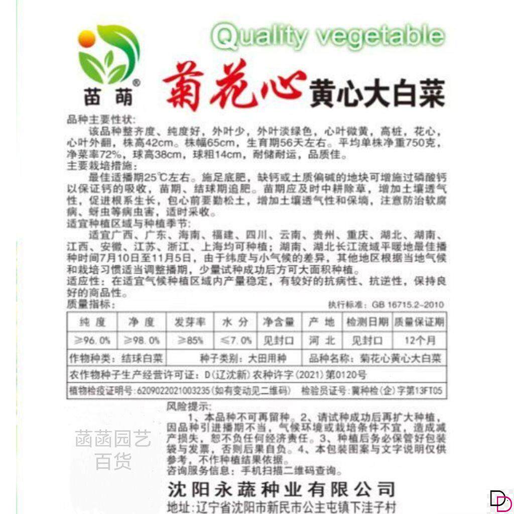 菊花心黄心大白菜种子早熟北京小杂56天超甜鸡蛋黄大白菜蔬菜种籽