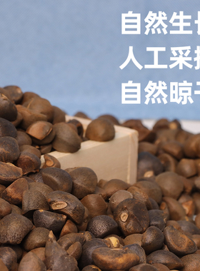茶籽深山干茶果农家山茶籽手工