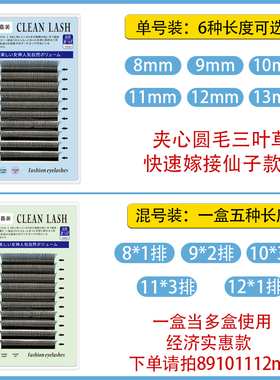 花仙朵睫毛种植三叶草浓密不散根