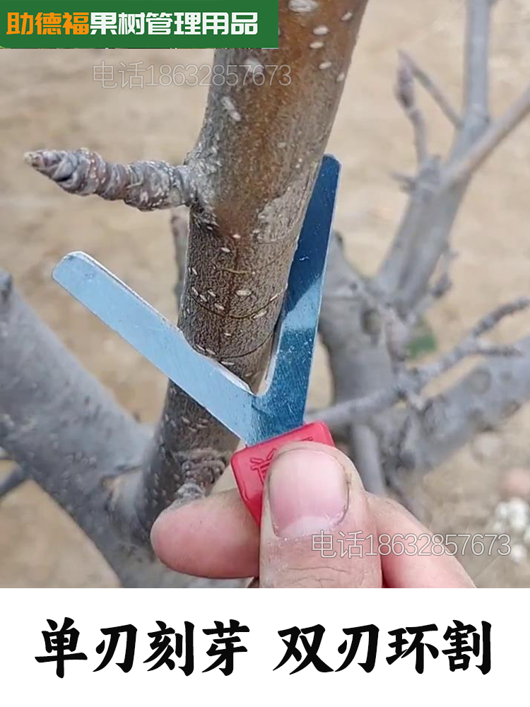 萄刻树芽剪果树刻芽刀Y型剪环割剥园FXS林葡工具不锈钢枝常规引芽-图2