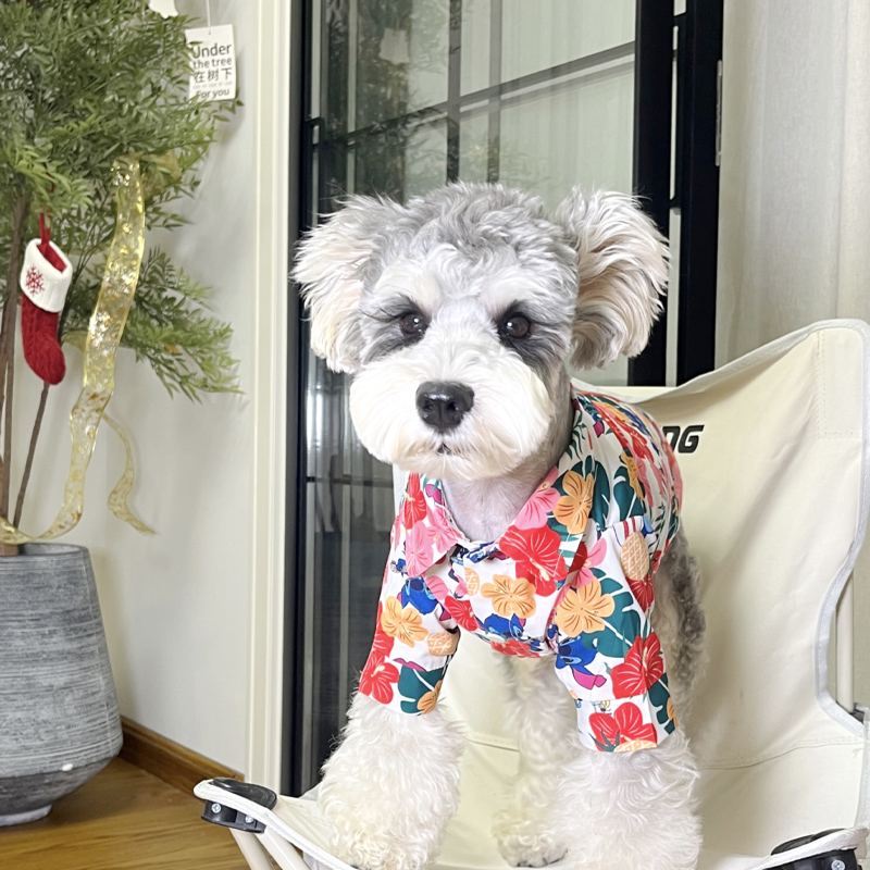 狗狗衣服小型犬雪纳瑞夏季薄款夏威夷风衣服猫咪小狗衣服防掉毛 - 图2