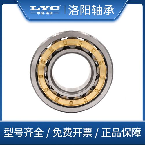 LYC洛阳圆柱滚子轴承 NF202 203 204 205 206 207 208 209 EM - 图0