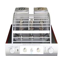 The Chuen * UK Hair Burning Grade High-power Gallbladder vacuum tube Bile Duct Utiliturismi home hifi Bluetooth High fidelity