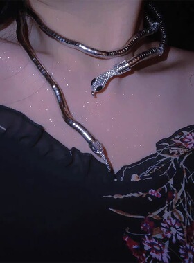 Women Necklace Chocker个性缠绕蛇形项链欧美ins冷淡风小众设计