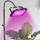Full spectrum plant calcium supplement LED