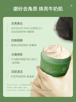 (Tingen Frosted Paste) Tingen Whitening Full Body Niacinamide Tender White Frosted Paste Official Flagship Store