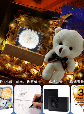 蒲公英标本立方体永生花创意摆件