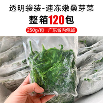 120 pack of whole box transparent bagged quick-frozen mulberry leaf vegetable hotel Catering Ingredients Mulberry buds semi-finished products Qingyuan Base