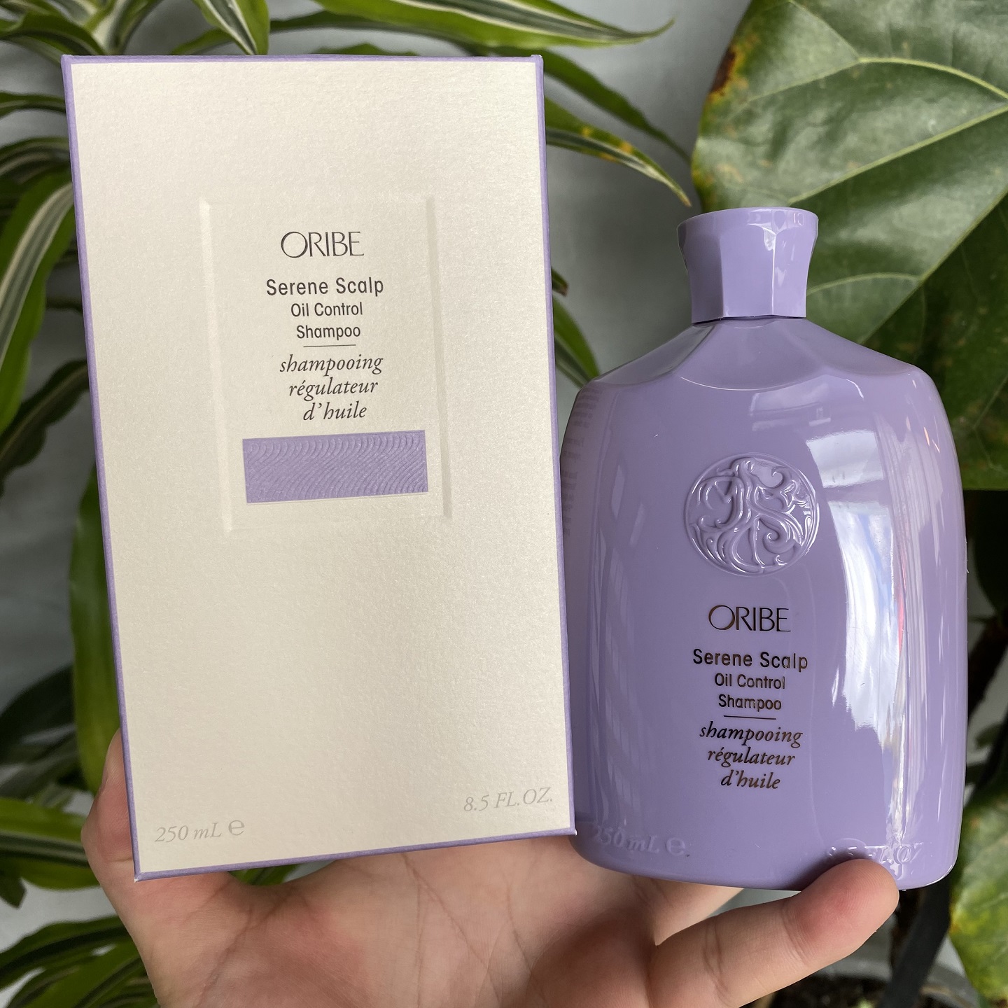 直邮ORIBE紫色舒活头皮益生元控油洗发水免洗喷雾干发粉平衡油脂 - 图1