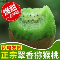 Cuisang Chio Exotic Fruits Shaanxi Week To Brow County Xu Fragrant Without Hair Red Heart Soft Date Chic Exotic Fruit Gift Box 10 Cati