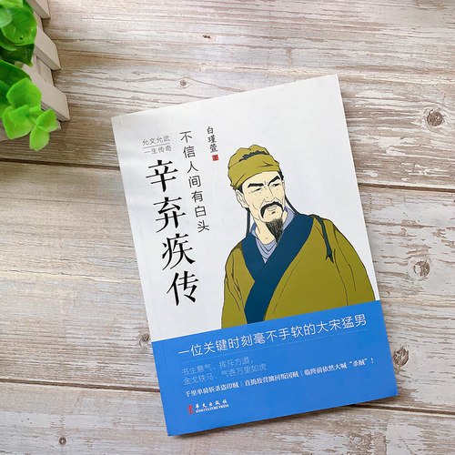 不信人间有白头 辛弃疾传 辛弃疾诗词全集 辛弃疾词传 文学家名人传记散文随笔中国历史人物传记历史知识读物名人人物传记书籍 - 图0