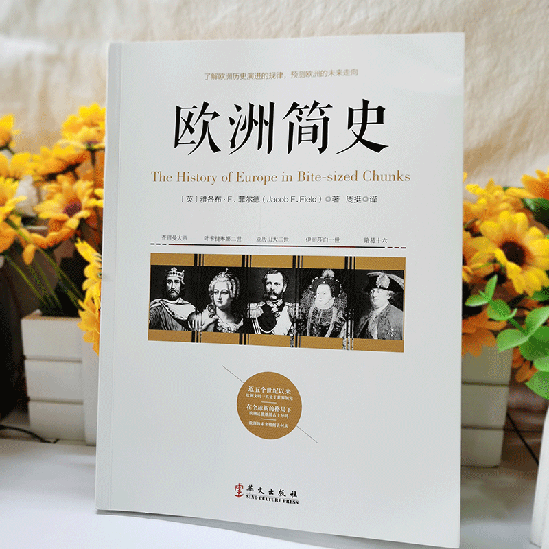 正版 欧洲简史 欧洲古典中世纪简史 拜占庭帝国史 查理曼大帝 意大利文艺复兴拿破仑战争英法俄乌世界西方历史书籍 - 图2