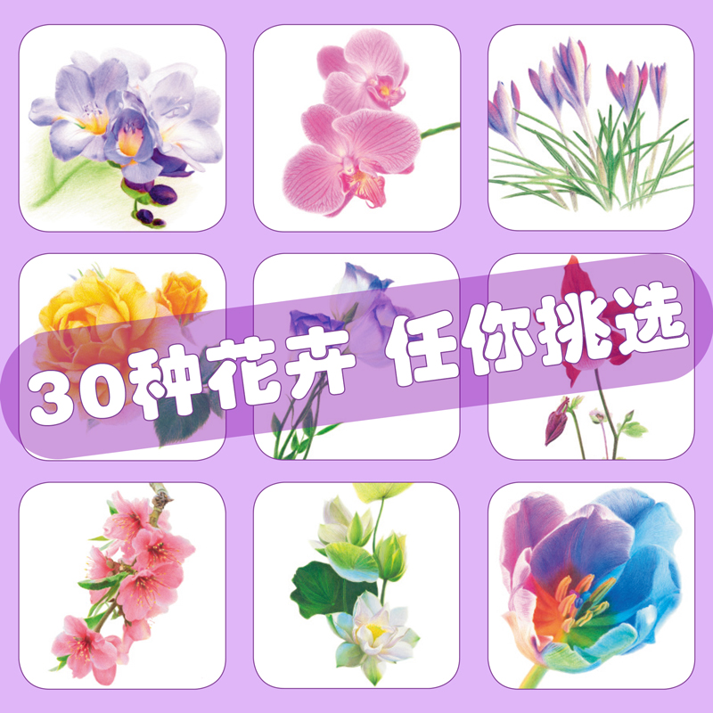 彩铅花卉画教程书铅笔画临摹画本手绘涂色填色生活艺术书籍花朵草植物水彩写实成人绘画插画册初级学零基础入门线稿儿童美术兴趣 - 图1