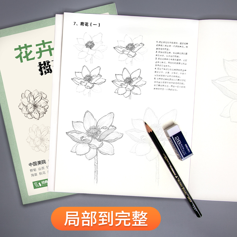 经典全集 花卉速写描摹本 零基础画画入门新手自学教程书籍线描花卉临摹手绘初学者学绘画教材铅笔画素描速写描摹画稿美院名师范画 - 图2