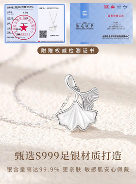 Name.s三生有幸纯银项链女生2025新款轻奢小众锁骨链送女生日礼物