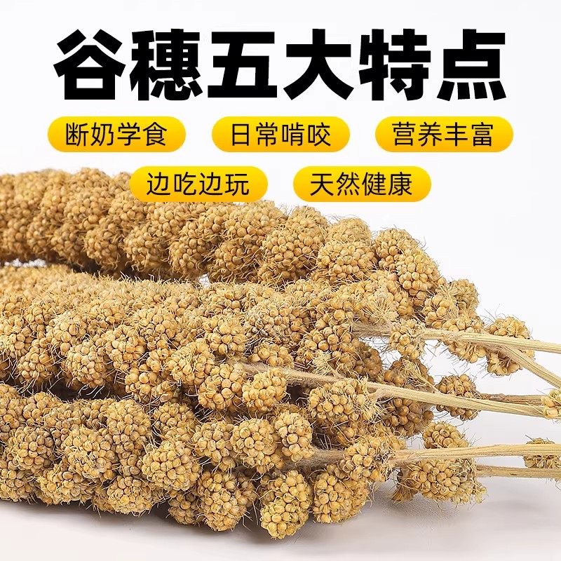 鹦鹉磨牙棒天然谷穗鸟零食谷物磨喙营养均衡训练奖励鸟粮用品大全,淘宝优惠券,粉丝福利购,淘宝优惠卷