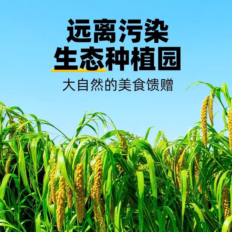 鹦鹉磨牙棒天然谷穗鸟零食谷物磨喙营养均衡训练奖励鸟粮用品大全,淘宝优惠券,粉丝福利购,淘宝优惠卷