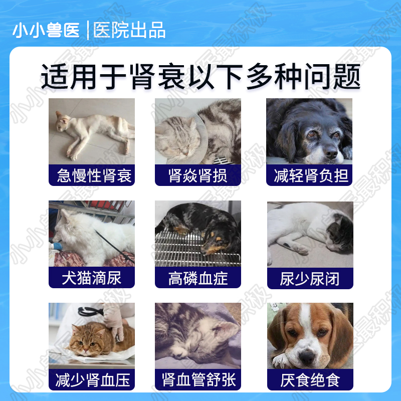 美国aminavast肾衰停 胺肾狗肾脏降磷猫狗肾犬肾透活肾犬猫用护肾 - 图0