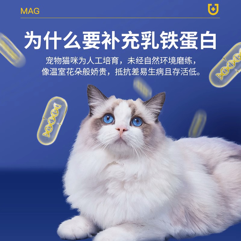 MAG天然乳铁蛋白布拉迪60粒U+天然乳铁蛋白狗狗猫咪增进抵抗力 - 图2