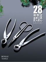 Japan-style stainless steel ball knots cut alloy bonsai trim styling tool to make spherical scissors Spherical Pincers leaf sprouts