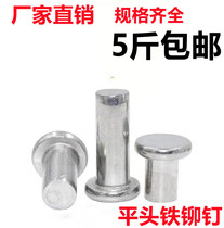 New product GB109 flat-head solid iron rivet galvanized flat head knock-type rivet M3M4M5M6M8 natural color iron
